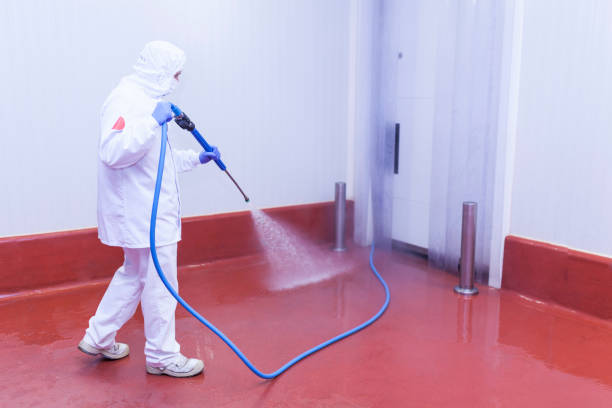 Best Winterizing Services  in Palo, IA