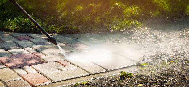 Best Gutter Cleaning  in Palo, IA
