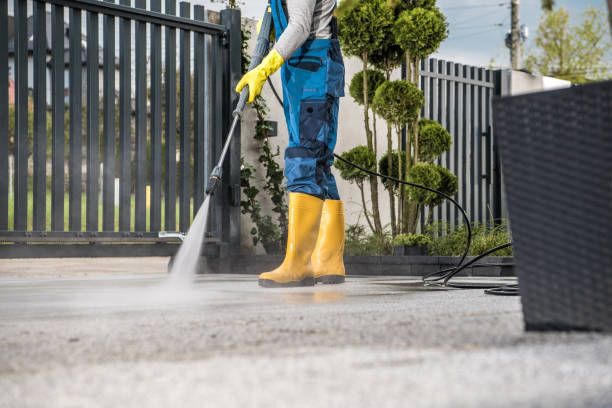 Best Driveway Pressure Washing  in Palo, IA