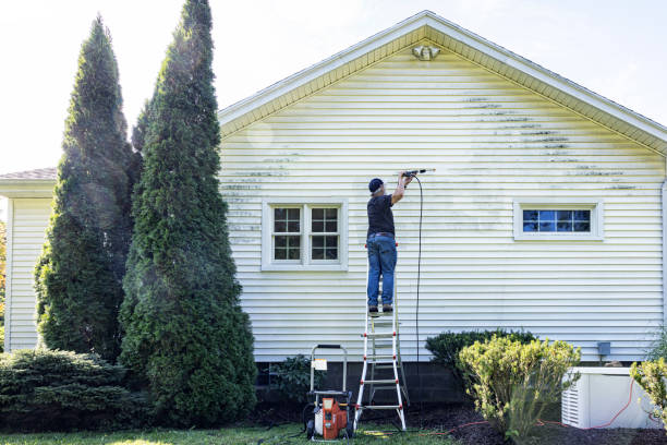 Best Roof Washing  in Palo, IA